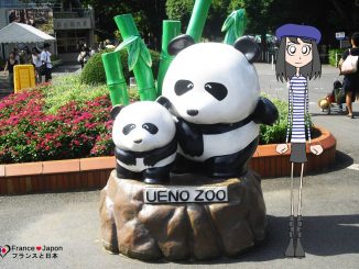 上野動物園：何を見に行くの？